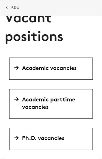Vacant-positions-SDU